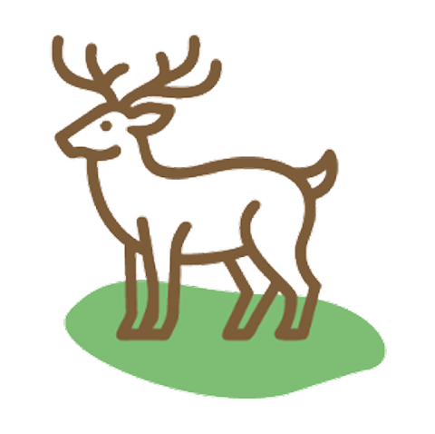 Local proteins icon